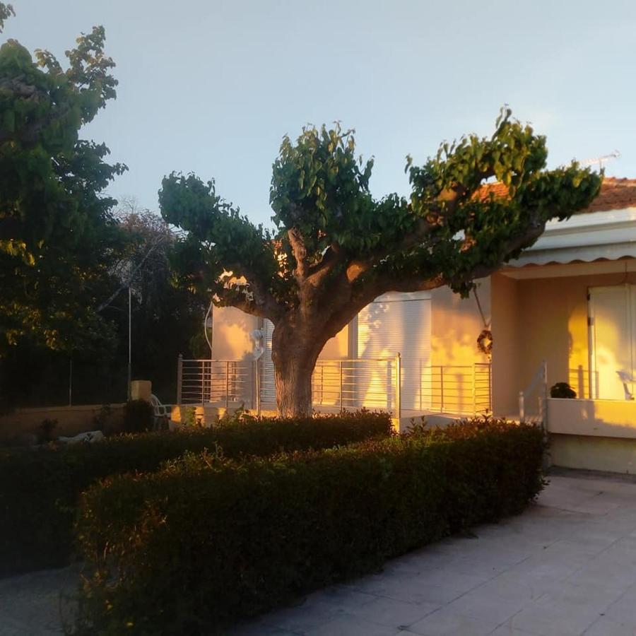 Mamanis Studios Loutra Edipsou  Exterior foto